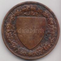 Berán Lajos (1882-1943) "Budapesti (Budai) Torna Egylet / Botond 1869" Br díjérem T:2