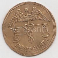 Sopron ~1930-1940. "Sempronia" Cu cigaretta bárca T:2-