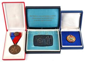 1964. Munkásőr kitüntetés mellszalaggal, szalagsávval és miniatűrrel, dísztokban T:1 + 1965. "Munkásőr Kiváló Parancsnok" zománcozott aranyozott kitüntető jelvény T:2 dísztokban + 1970. Vas-fém és Villamosenergiaipari Dolgozók Szakszervezete Kohász Bizottsága "Hazánk Felszabadulásának 25. évfordulójára" plakett eredeti dísztokban T:2