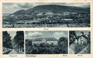 Piliscsaba, Klotildliget; zárda, panzió (Rb)