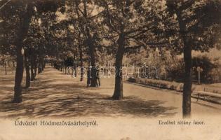 Hódmezővásárhely Erzsébet sétány (EK)