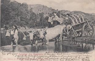 Romanian peasant carriage, folklore