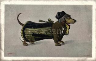 Dressed dog, s: P.O.E. (fa)