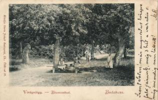 Budakeszi Virágvölgy (Rb)