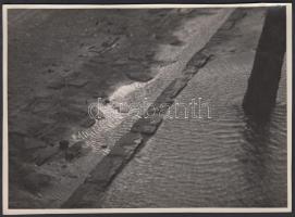 cca 1935 Kinszki Imre (1901-1945): Nyári zivatar után. Vintage fotó, hátoldalán szerzői pecséttel, 12x17cm