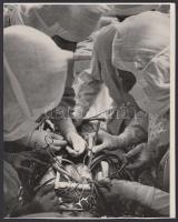 cca 1950 Műtét közben, 24x18cm