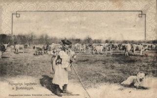 Hortobágy ökörgulya legeltetése, folklór, Art Nouveau (Rb)