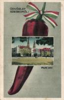 Szeged Püspöki palota, paprika (EK)