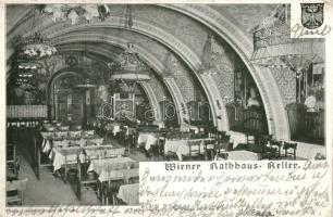 Vienna, City Hall cellar (small tear)