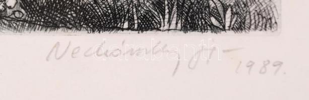 Nechánszky József (1936-): Szélmalom Csabán. Rézkarc, papír, jelzett, 19×24 cm