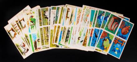 208 db állatos ismeretterjesztő címke, több lap ismétlődik, 13×18 cm