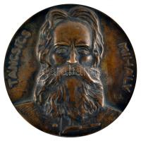 Istók János (1873-1972) 1948. "Táncsics Mihály" Br nagyalakú plakett (119mm) T:2