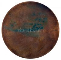 Istók János (1873-1972) 1948. "Táncsics Mihály" Br nagyalakú plakett (119mm) T:2