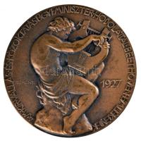 Reményi József (1887-1977) 1927. "Beethoven Halálának Századik Évfordulójára" Br emlékérem...