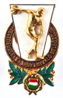 ~1960. "Testnevelés és sport kiváló dolgozója" jelvény eredeti dísztokban T:2