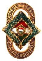 ~1960. "Testnevelés és sport érdemes dolgozója" jelvény eredeti dísztokban T:2