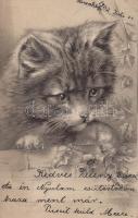 Cat Emb. litho