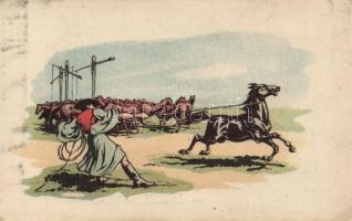 Csikós / Hungarian folklore, wrangler