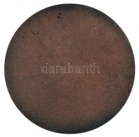 Borsos Miklós (1906-1990) 1975. "Nemzeti Színház 1837" Br emlékérem dísztokban T:2