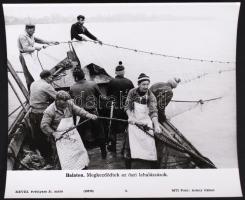 cca 1970 Sajtófotó: "Balaton. Megkezdődtek az őszi lehalászások", 21x24cm
