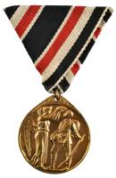 Német Birodalom / I. világháború "Furg Dagerland (A Hazáért) / 1914" Br kitüntetés mellszalaggal  + 1898-1921. "Vörös Kereszt Medál 3. osztálya" Br kitüntetés mellszalaggal T:2 Germany/ Empire / World War I "Furg Dagerland (For the Fatherland" / 1914" Br decoration on ribbon  + 1898-1921. "Red Cross Medallion 3rd Class" Br decoration with ribbon T:2