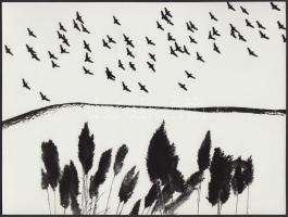 cca 1970-1980 - Gebhardt György: Madarak 1-2.; 2 db vintage fotómontázs, feliratozva, aláírva, 18x24 cm