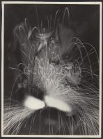 cca 1950-1960 Tóth Gusztávné: Hegesztés; vintage fotó feliratozva, 18x24 cm