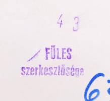 1900-1931 Látványosságok Bp-en; Angol park, Csodák Háza, Mozgóképszínház; 10 db kfl méretű fotórepro...