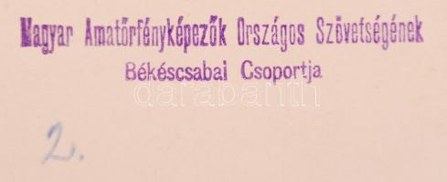 1933 Thöresz Dezső (1902-1963): 30 C° Árnyékban; vintage fotó, aláírva, pecsételve, feliratozva; kép...