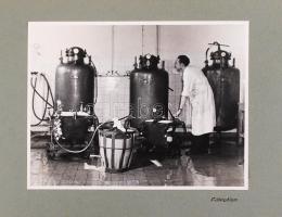 Cca 1950 Dr. Szent Iványi Miklós (1918-2004) állatorvos, az Állami Vakcinatermelő Intézet igazgatójá...