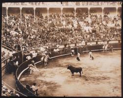 cca 1920-1930 Bikaviadal Spanyolországban 24x30 cm