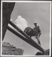 Cca 1950-1960 Ismeretlen szerző: szociófotó; 9x9 cm