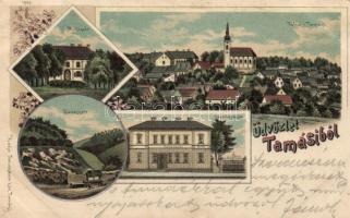 1899 Tamási, Miklósvár, Vadaskert, Takarékpénztár, litho, floral