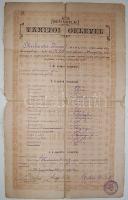 1885 Népiskolai tanítói oklevél