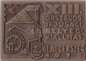 1975. "XIII. Országos Ifjúsági Bélyegkiállítás Zalaegerszeg" Br szögletes plakett, eredeti dísztokban T:1