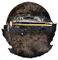 ~1965. "Szpartakusz Természetjáró" tűzzománcozott ezüstözött turista jelvény (2x) kétféle ...