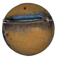 ~1960. "Tanfolyamvezető Előadó - Magyar Természetbarát Szövetség - Térképolvasó" tűzzománc...