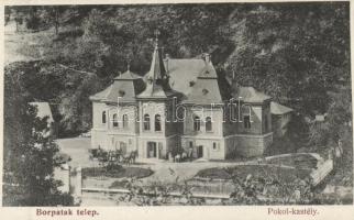 Borpatak-telep Pokol-kastély / castle