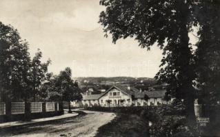 Balatonalmádi, Fürdőigazgatóság