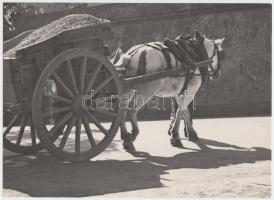 1938 Osoha Magda: Kordé; vintage fotó, feliratozva, aláírva, 16x22 cm (ragasztófolt a keréknél)