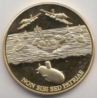 Amerikai Egyesült Államok DN "Haditengerészet" aranyozott emlékérem (40mm) T:PP
USA ND &qu...