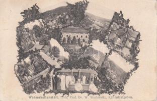 Kaltenleutgeben, Wasserheilanstalt, Hofr. Prof. Dr. W. Winternitz