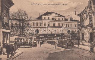 Cieszyn, Teschen; Friedrich's castle