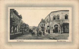 Beregszász, Bocskai utca / street