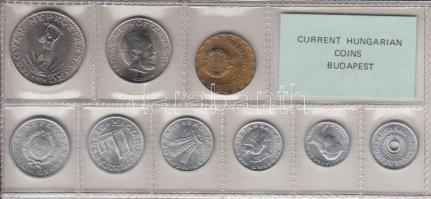 1981. 2f-10Ft 9db klf érmés forgalmi sor fóliatokban T:1