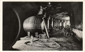 Budapest XXII. Budafok, Hangya borpincészet