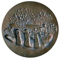 Szentirmai Zoltán (1941-) 1982. "Az erdő védelmezője" Br plakett (61.3mm) T:2