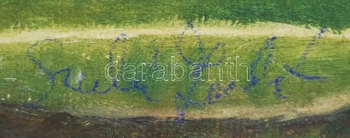 Szabó Judit: Vízió. Tempera, farost, jelzett, 40×50 cm