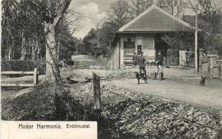 Modor-Harmónia erdőhivatal / forest office (gluemark) (EM)