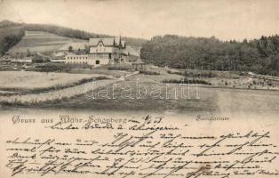 Sumperk sanatorium (small tear)